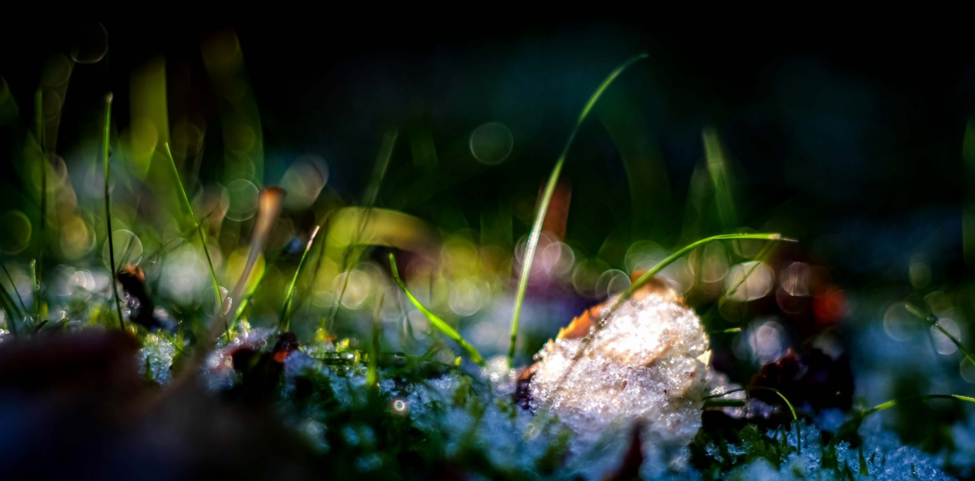 Winterlandschaft | Torsten Gripp | 2025