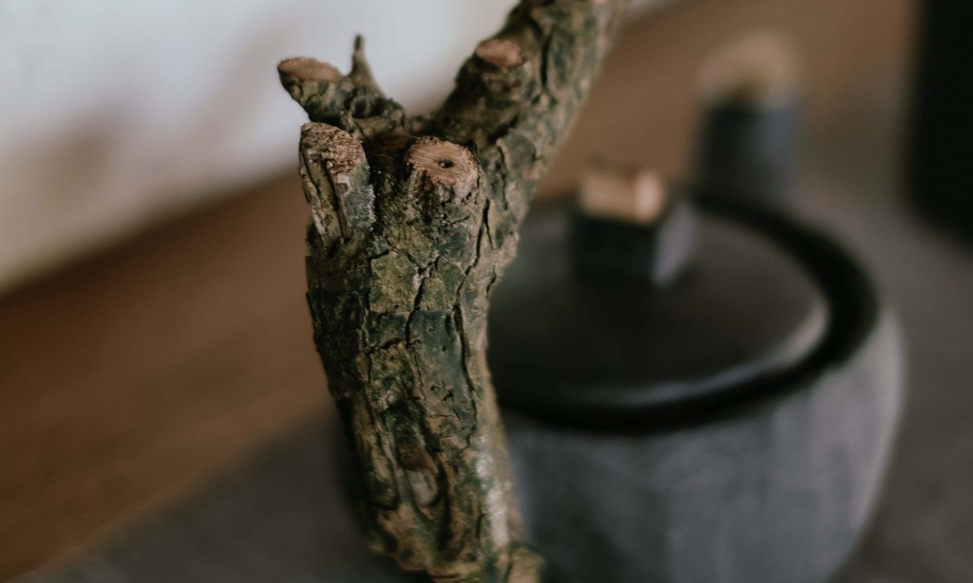 Teekanne | © Torsten Gripp | 2026