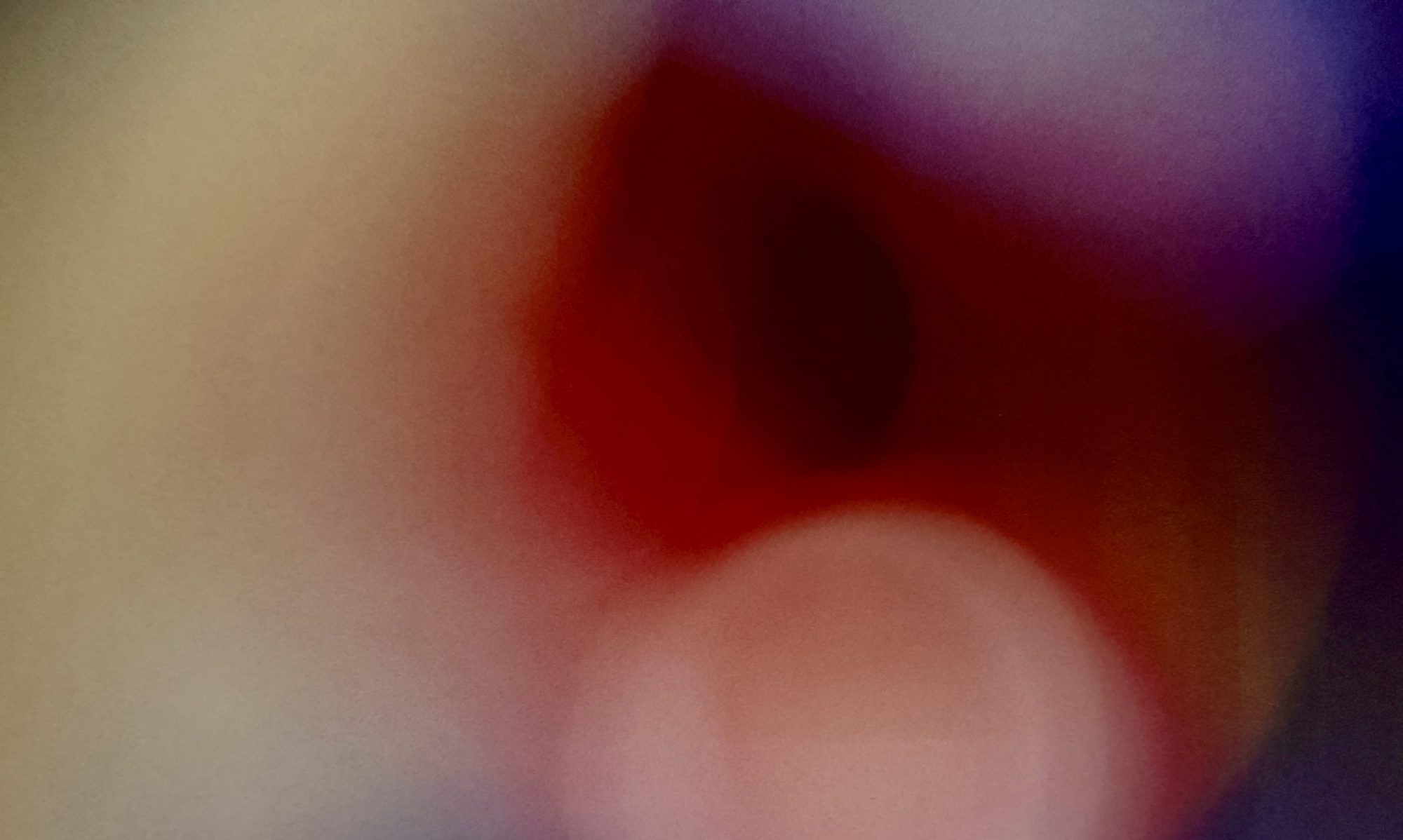 Kokoro-Kurinuki-© Torsten Gripp