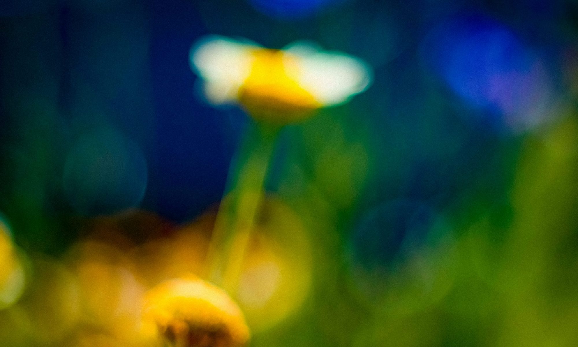 Sommer ohne Konturen | Fotografie | © Torsten Gripp 2026